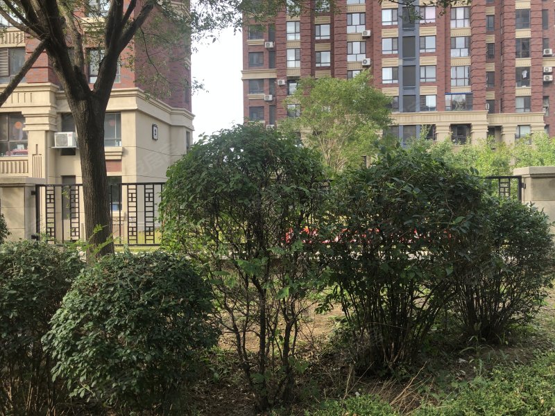 锦联经典名郡,东升路41号-营口锦联经典名郡二手房