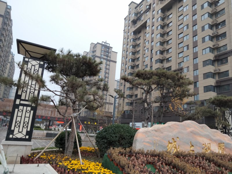 揽湖上城,黄山南路-阳谷揽湖上城二手房,租房,房价