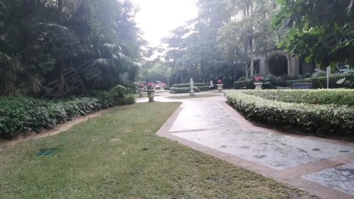 佳兆业香瑞园南区