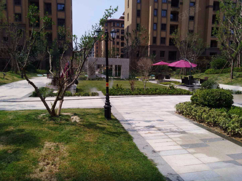天润城,青菏南路,近青岛南路-曹县天润城二手房,租房