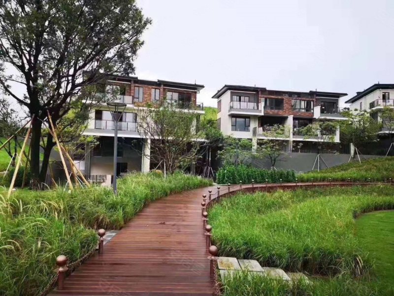 星河山海半岛(别墅)