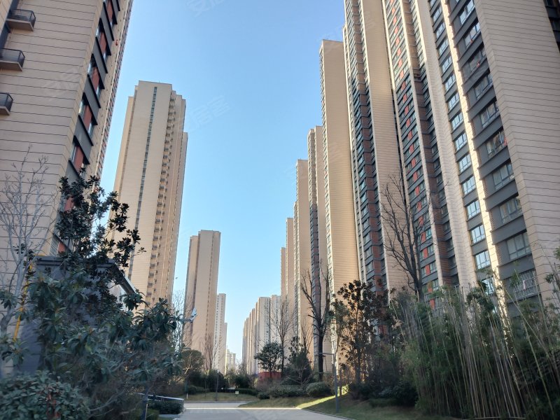 轩苑世家星城二期