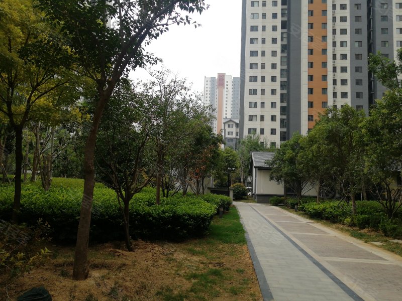 鸿顺观邸(二期),运河路-济宁鸿顺观邸(二期)二手房,租房,房价-济宁