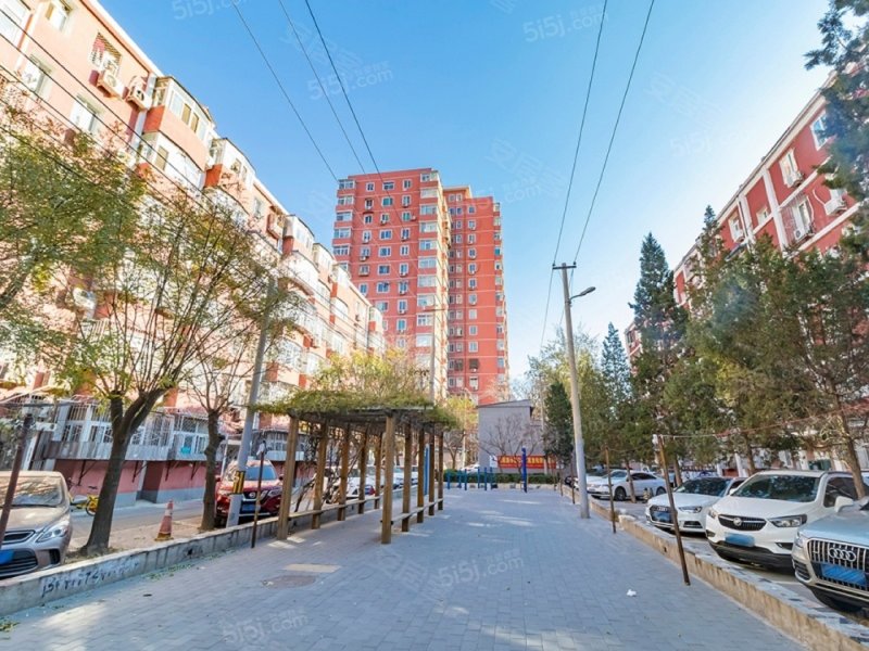 劲松东社区(劲松三区)