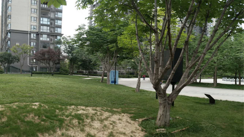 中国铁建梧桐苑,新开门南路-西安中国铁建梧桐苑二手房,租房,房价