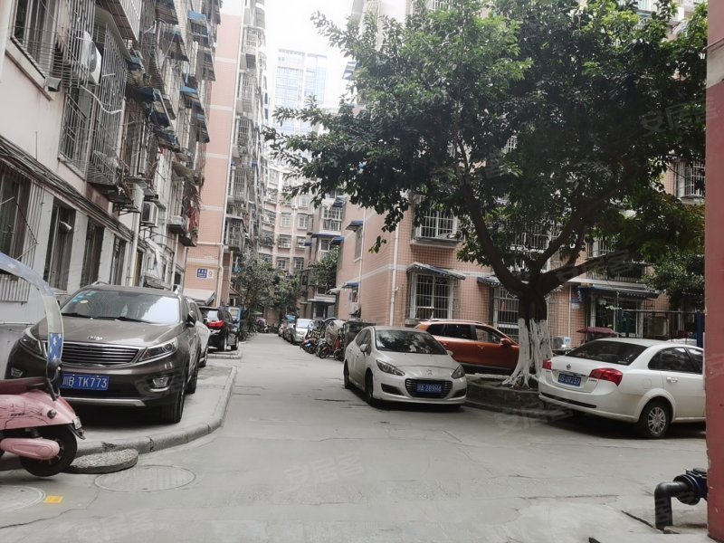 西城花园(西区),宇虹北街18号-绵阳西城花园(西区)二手房,租房,房价