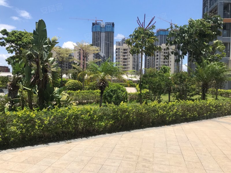 马安山花园,鞍山二路40号-深圳马安山花园二手房,租房