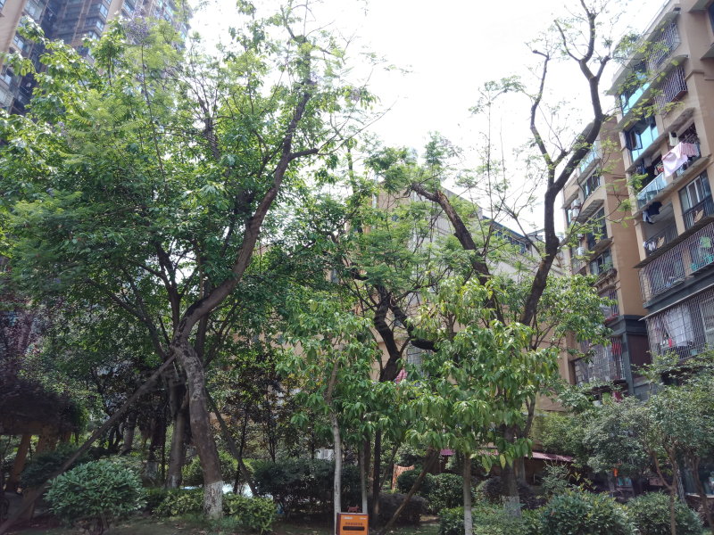 南湖俊景,紫薇路283号-自贡南湖俊景二手房,租房,房价
