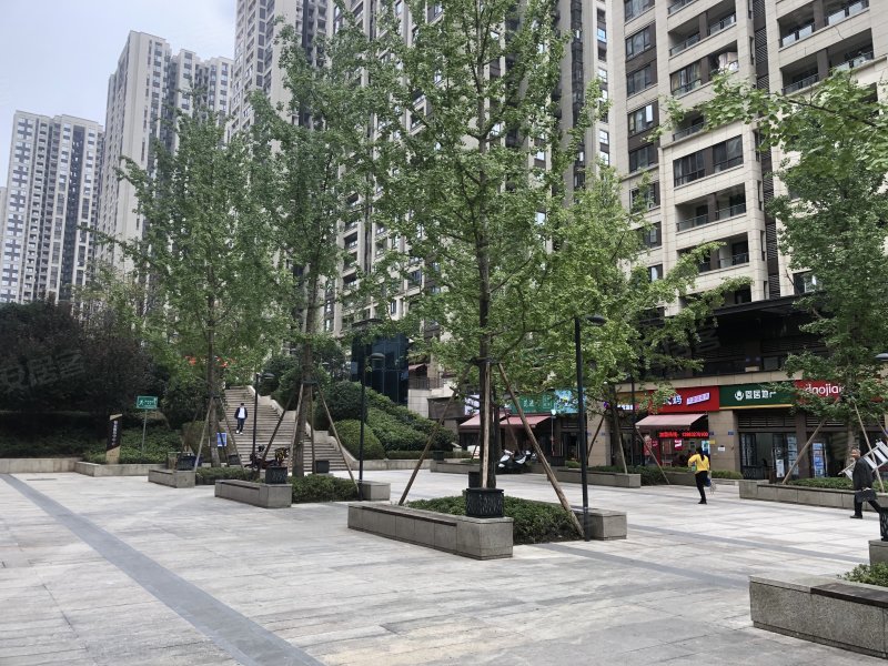 保利观澜(三期),凤澜路86号-重庆保利观澜(三期)二手房,租房,房价
