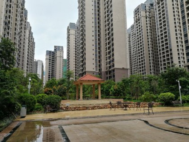 德洲中心城,中兴北路-惠州德洲中心城二手房,租房