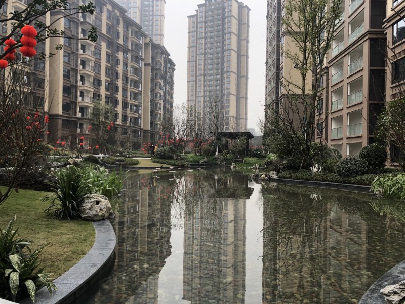 邦泰天著