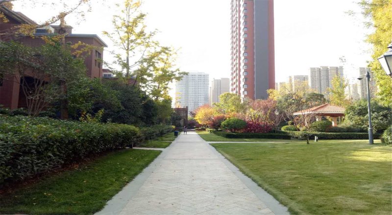 城市风景8号府邸(别墅)