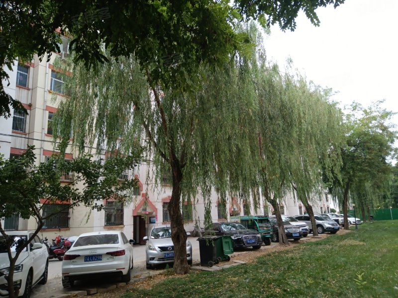 紫园小区(南区),银盛路65号-银川紫园小区(南区)二手房,租房,房价