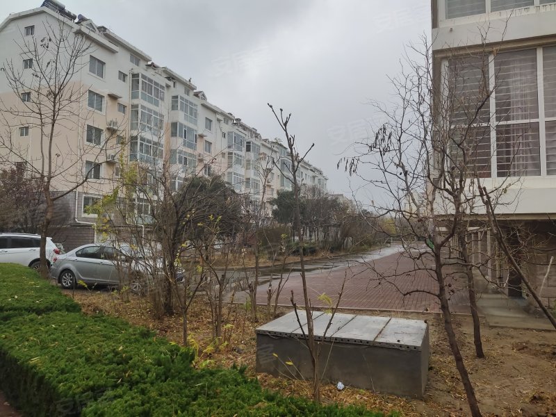 科达华苑d区