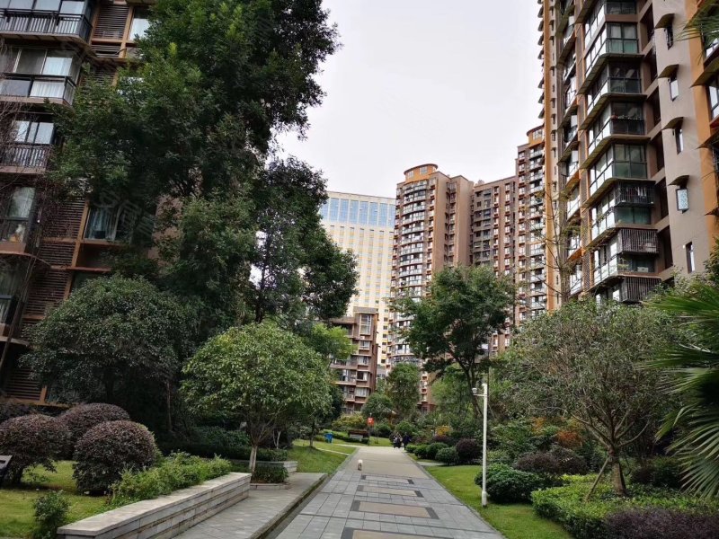 汇乐国际,泰山南路二段508号-德阳汇乐国际二手房,租房,房价-德阳安居