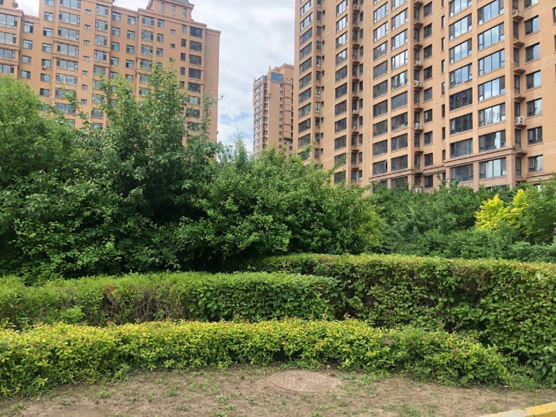 英伦名邸(锁定),学府路239号-哈尔滨英伦名邸(锁定)房