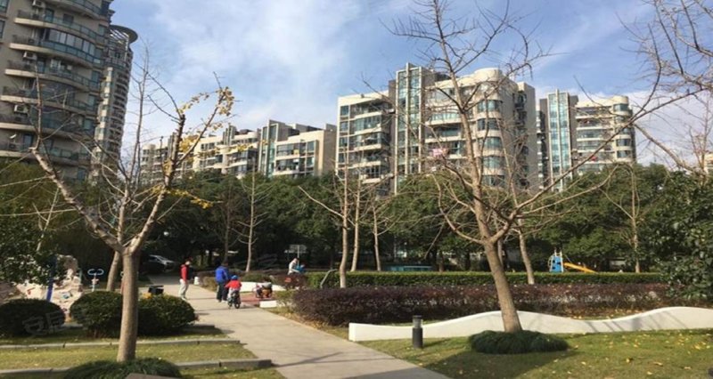 大华锦绣华城十一街区