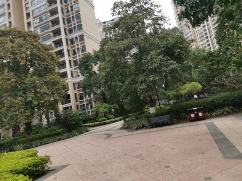 中信森林湖,东莞大道-东莞中信森林湖二手房,租房