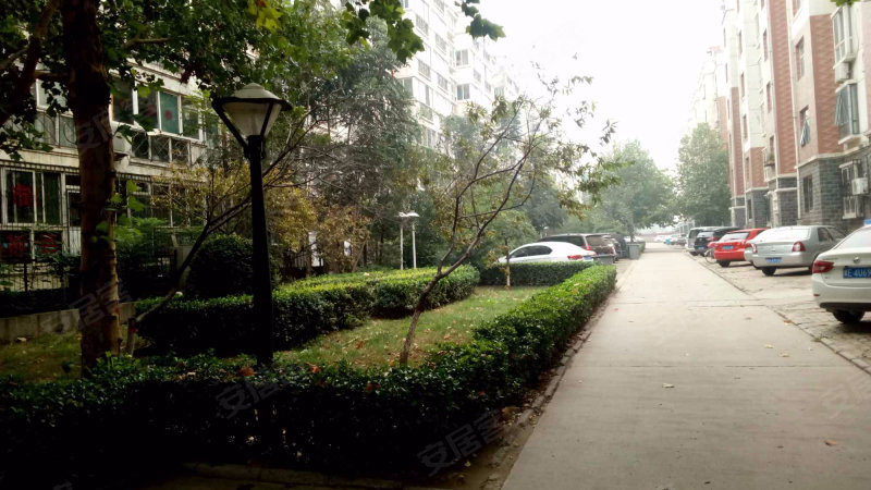 金色家园(裕华),学苑路79号-石家庄金色家园(裕华)房