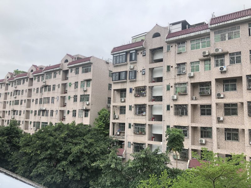 金祥都市花园,红岗路1168号-深圳金祥都市花园二手房