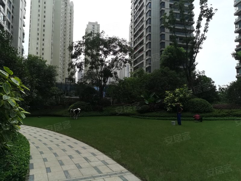 三江立体城黑珍珠,会前路-温州三江立体城黑珍珠二手