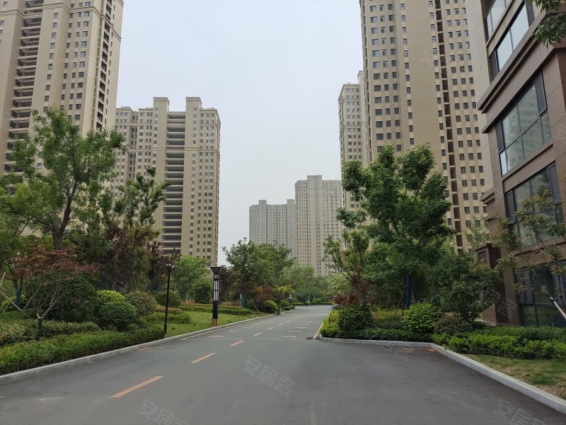 金色兰庭香堤