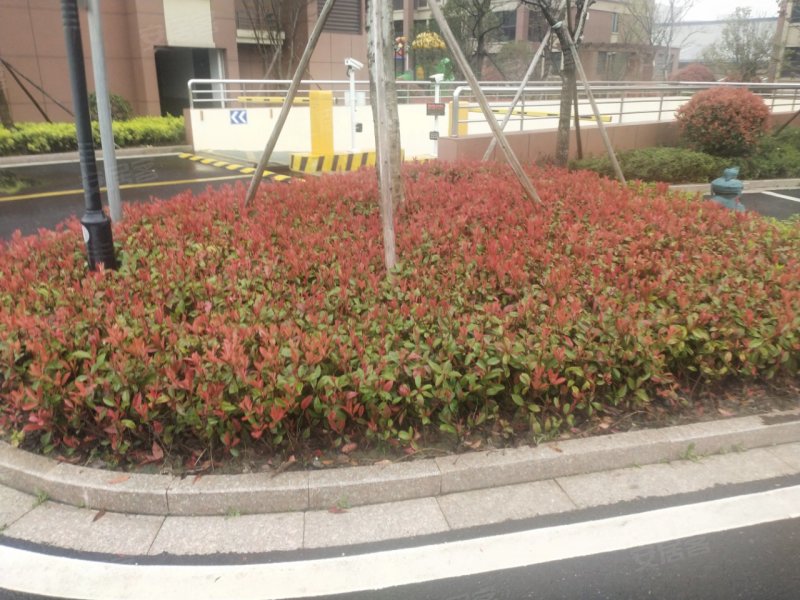 茗品悦府,余北大街104号-嘉兴茗品悦府二手房,租房,房价-嘉兴安居客