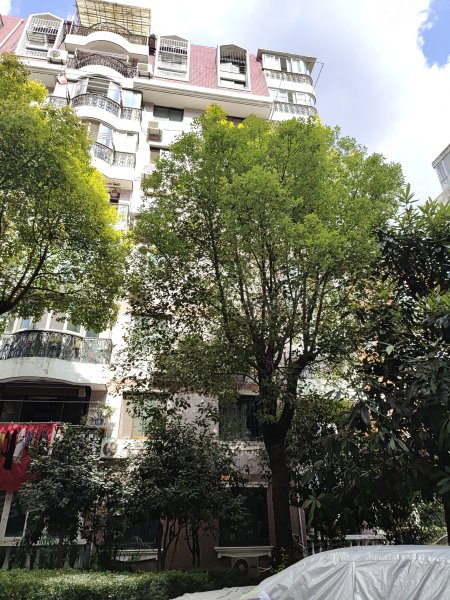 沙田花园,安远路728弄-上海沙田花园二手房,租房,房价-上海安居客