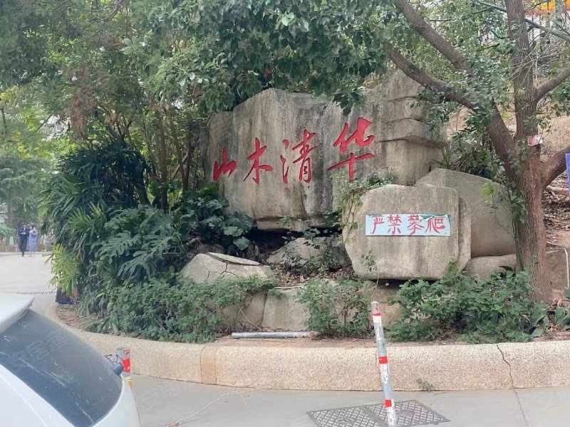 山木清华