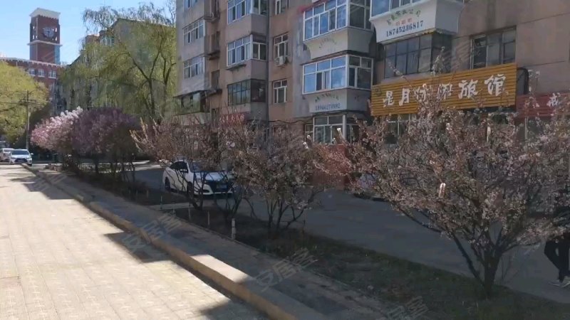 齐大小区,游览路71号-齐齐哈尔齐大小区二手房,租房