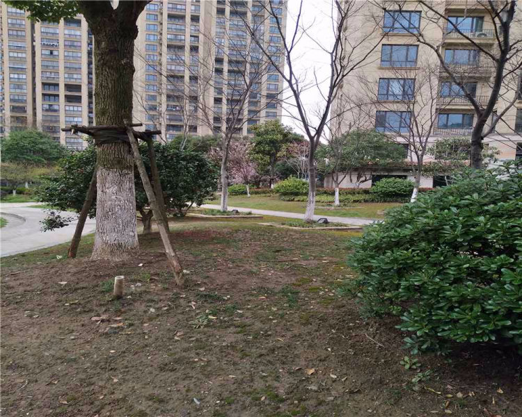 金茂四季花园,通港路111号-苏州金茂四季花园二手房