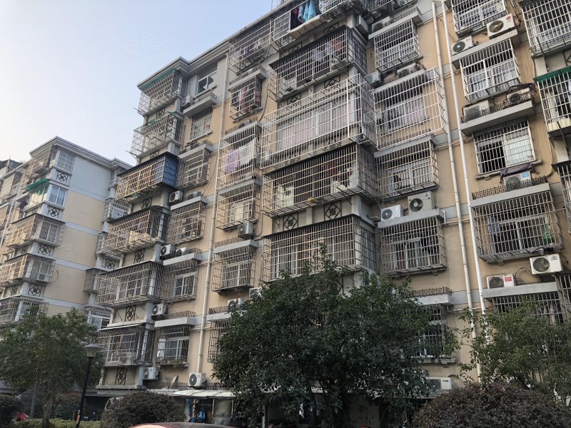 迎春小区(滨江,迎春路206号-杭州迎春小区(滨江)二手房,租房,房价