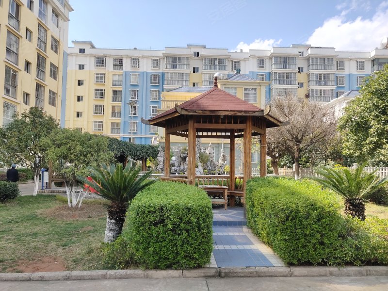 新雅小区,团结路-楚雄新雅小区二手房,租房,房价-楚雄安居客