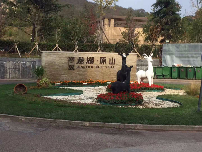 龙湖原山(879号,前湾港路879号-青岛龙湖原山(879号)二手房,租房