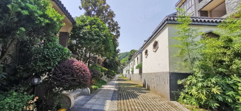 金科东方大院(别墅)