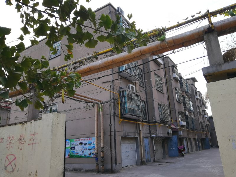 三里庄小学宿舍楼,金坛路,近通达路-临沂三里庄小学宿舍楼二手房,租房