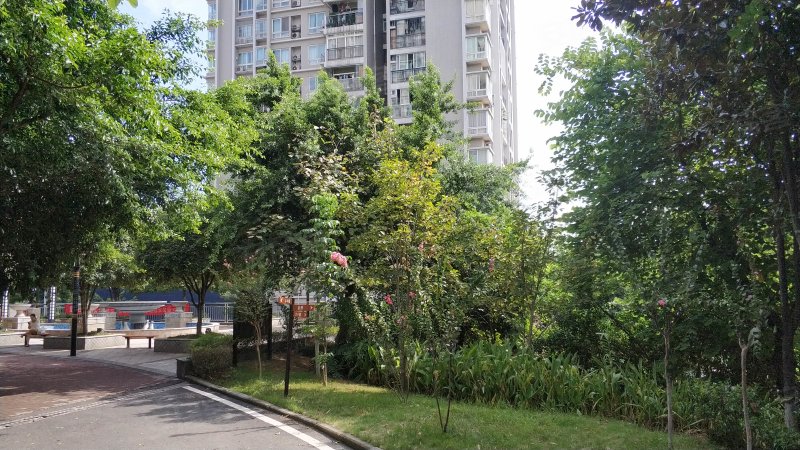 天高鸿苑,宝圣大道139号-重庆天高鸿苑二手房,租房