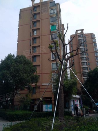 奉贤火热地段知名小区 精装拎包 入住正阳世纪星城名仕苑