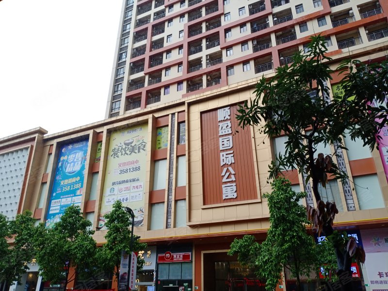 顺盈国际公寓,人民一路-清远顺盈国际公寓二手房,租房
