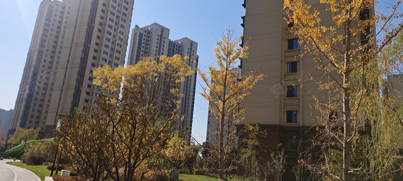 直隶新城花都