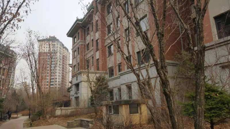 辰能溪树庭院(北区),哈西大街117号,哈尔滨大街666号
