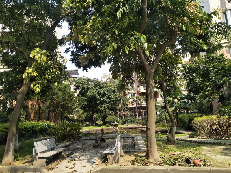 金桥花园玫瑰苑,国宾大道2号-福州金桥花园玫瑰苑二手
