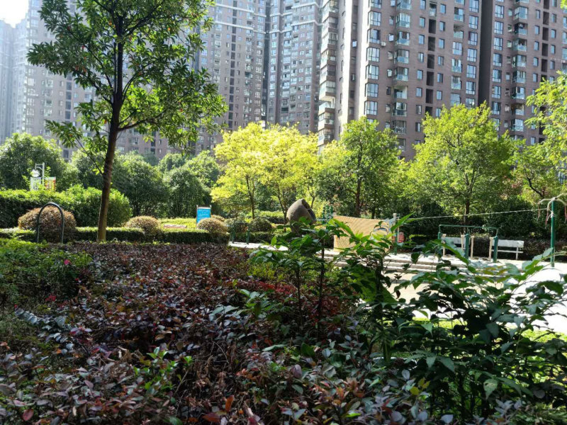 虹桥国际公寓,夷陵大道358号-宜昌虹桥国际公寓二手房,租房,房价-宜昌