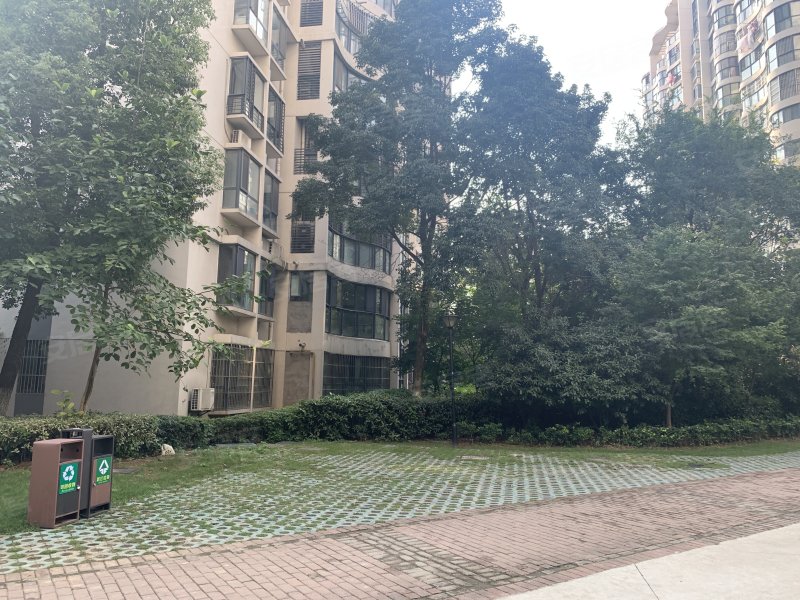 森林海