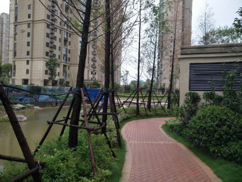 常绿林溪美地,翠竹路-平顶山常绿林溪美地二手房,租房