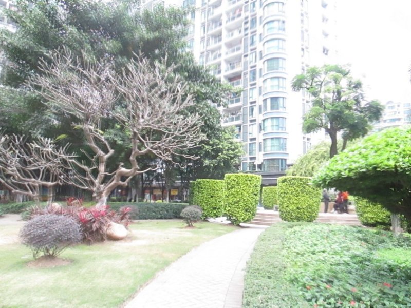 第三金碧花园(联排)