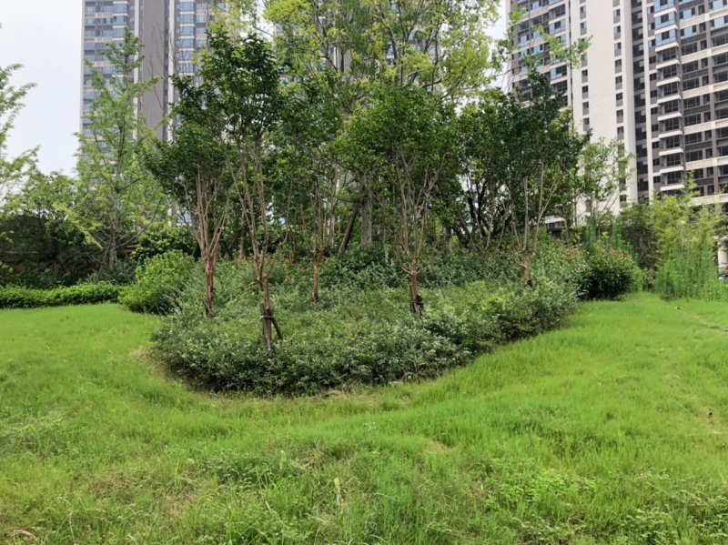 滨江花园(雨湖),沿江路-湘潭滨江花园(雨湖)二手房