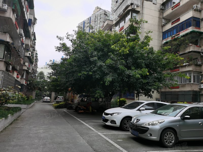 花园国税小区,临园路西段-绵阳花园国税小区二手房