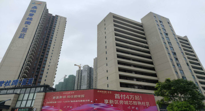 鼎湖碧桂园蓝庭,顺景路122号-肇庆鼎湖碧桂园蓝庭二手