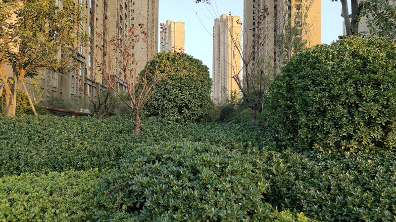 绿都澜湾桂园,青翠南路39号-郑州绿都澜湾桂园二手房